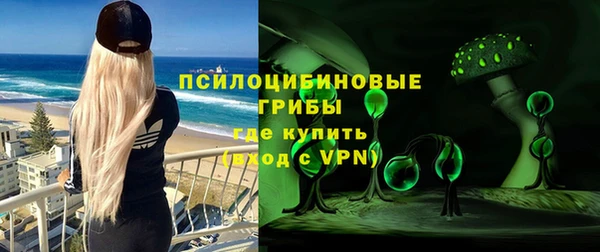 марки nbome Белокуриха