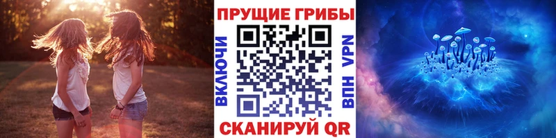Псилоцибиновые грибы мицелий  Шадринск 