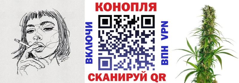 дарк нет наркотические препараты  Шадринск  МАРИХУАНА планчик  что такое  